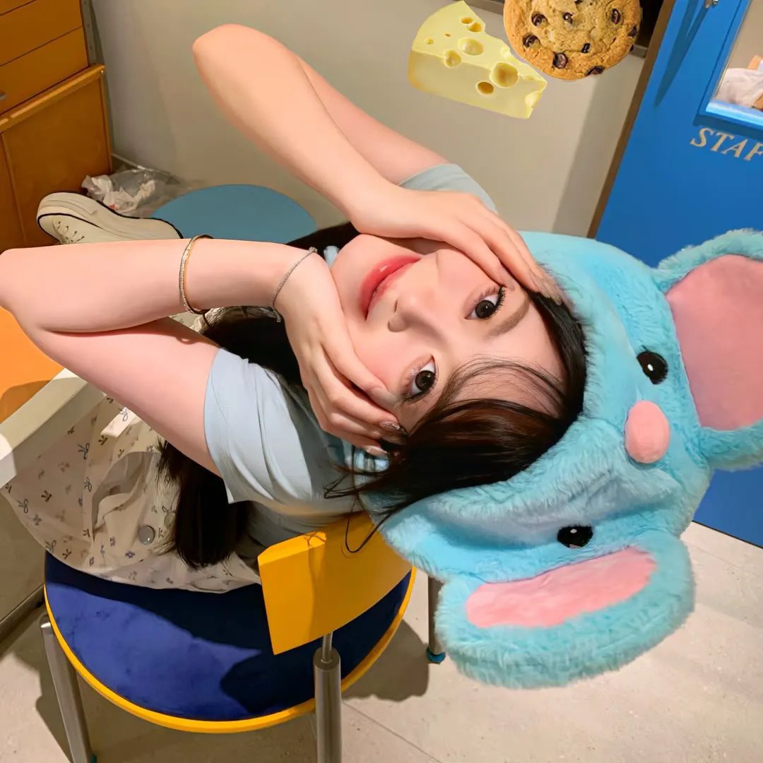 寻宝搭档第二季